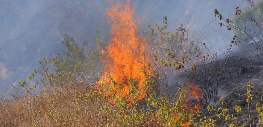 डढेलोमा परी युवतीको मृत्यु, चार घाइते