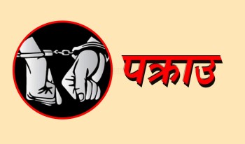 झापामा लागुऔषध कारोबार ‘मेला’, ४३ जना पक्राउ