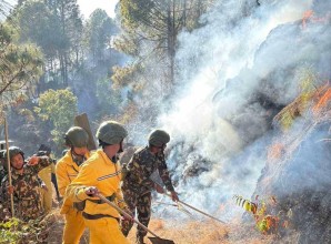 पाल्पाको जंगलमा डढेलो, गाउँ जोखिममा