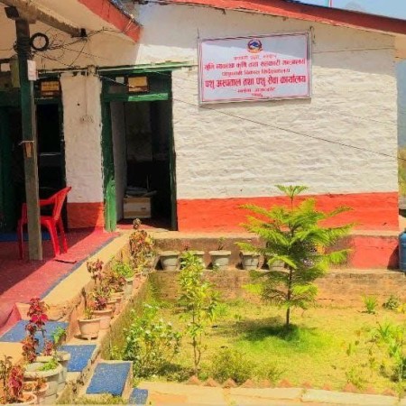 पशु अस्पताल तथा पशु सेवा कार्यालय जाजरकोटमा सेवाको अभाव : "ढोका खुला, तर कर्मचारी गायब!"