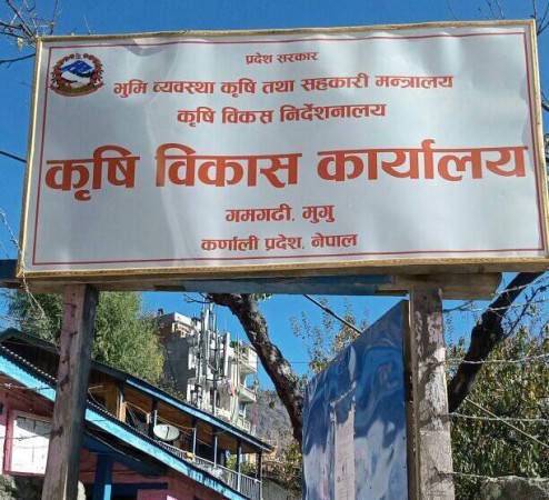 कृषि विकास कार्यालय, गमगढी, मुगुको अत्यन्तै जरुरी सूचना,