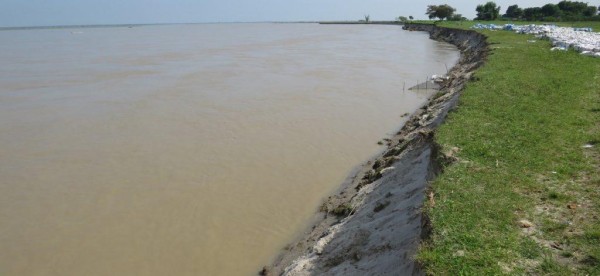 सप्तकोशीको बढ्दो बहाव: बेलका क्षेत्र डुबान र कटानको उच्च जोखिममा